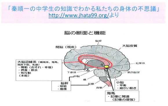 小室哲哉さん Keikoさん 高次脳機能障害 広島メープル法律事務所公式サイト
